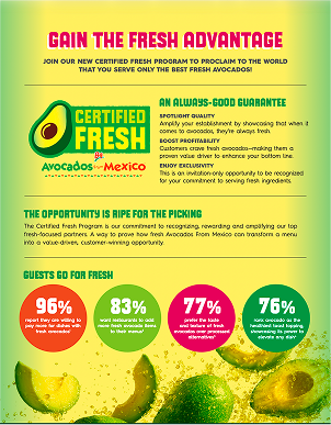 Digital Toolkit one-pager preview